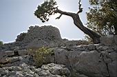 Nuraghe Mereu 